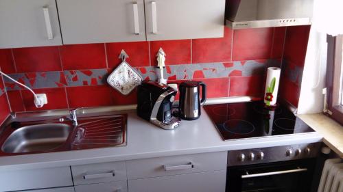 ゼルプにあるFerienwohnung "Sonnenschein"の赤いタイルのキッチンカウンター(シンク付)
