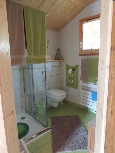 une salle de bain avec toilettes et douche en verre dans l'établissement Au Bout du Chemin, à Hohrod