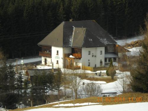 a white house with a black roof in the snow at Ferienwohnungen Pein in Vordernberg