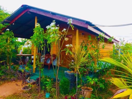 a small house with a lot of plants in front of it at Sunntop Cabana in Trincomalee