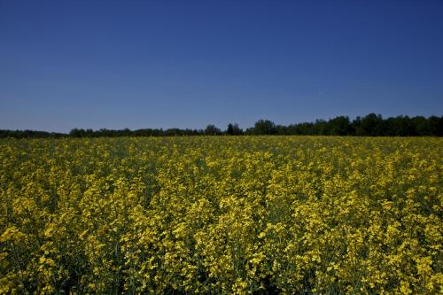 Fotografie z fotogalerie ubytování Agroturystyka Wichrowe Wzgorze v destinaci Osiek