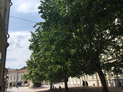Okolí apartmánu