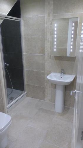 a bathroom with a sink and a shower and a toilet at Doonbank Cottage Bothy in Ayr