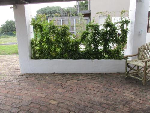 a bench sitting next to a white wall with bushes at Casa Del Mar in Hermanus