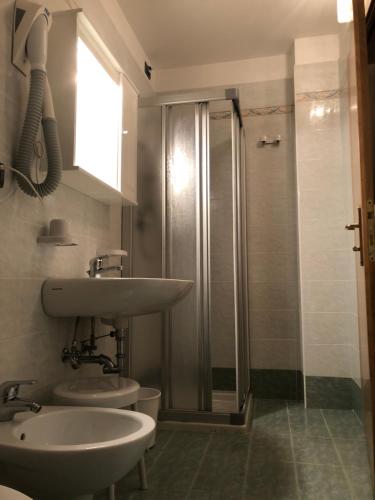a bathroom with a sink and a shower at Albergo La Bicocca in Paneveggio