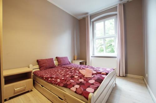 - une chambre avec un lit dans une pièce dotée d'une fenêtre dans l'établissement Gdansk Apartment, à Gdańsk