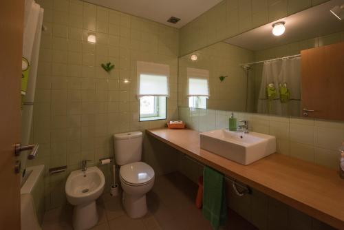 a bathroom with a toilet and a sink and a mirror at Casa do Olival in Figueiró dos Vinhos