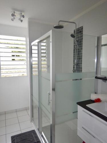 ein Badezimmer mit Dusche und gläserner Duschabtrennung in der Unterkunft Au Petit Paradis in Sainte-Anne