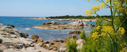 un groupe de rochers sur une plage avec l'eau dans l'établissement Le Golfe, à Figari