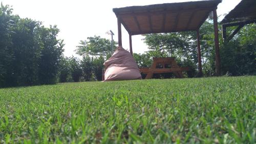 a grassy field with a gazebo and a table at Case vacanze Santamargherita in Castiglione della Pescaia