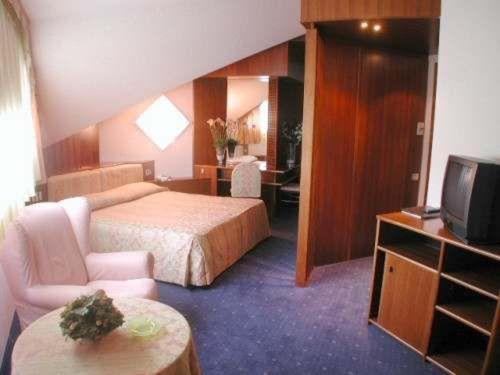 una camera d'albergo con un letto e una televisione di Hotel Bellavista a Montebelluna