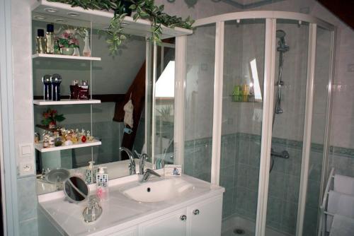 ein Bad mit einem Waschbecken und einer Dusche in der Unterkunft Villa Garnier in Saint-Michel-sur-Loire
