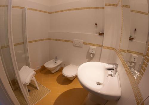 a bathroom with a sink and a toilet and a shower at Hotel San Zeno in San Zeno di Montagna
