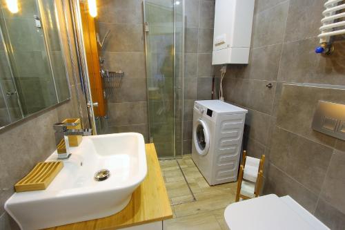 ダルウフコにあるBaltic Korona Apartamenty - E17のバスルーム(シンク、洗濯機付)
