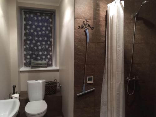 ein Badezimmer mit Toilette und Dusche in der Unterkunft Apartaments Selga in Roja