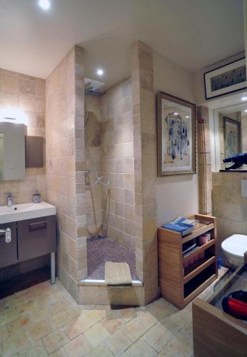 une salle de bain avec douche et lavabo dans l'établissement Chambres d'hôtes Artelit, à Lyon