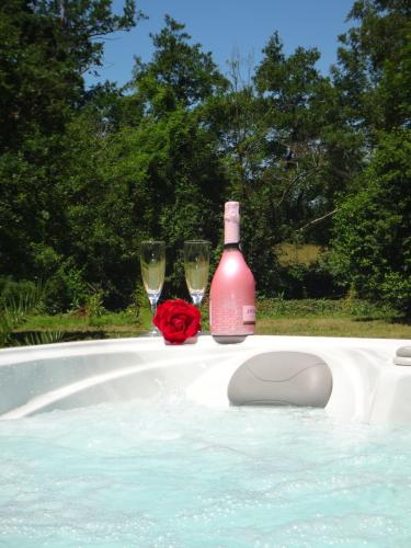 a bottle of champagne and two glasses in a swimming pool at L'Oasis Des Pyrénées in Campuzan