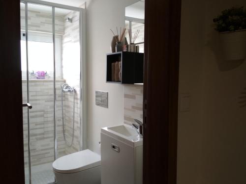 ブラガにあるCasa Bracara Augustaのバスルーム(トイレ、洗面台、シャワー付)