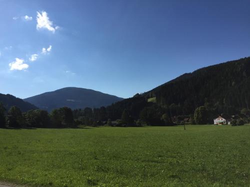 a large green field with a house in the distance at Ferienwohnung Trattnig in Gassen