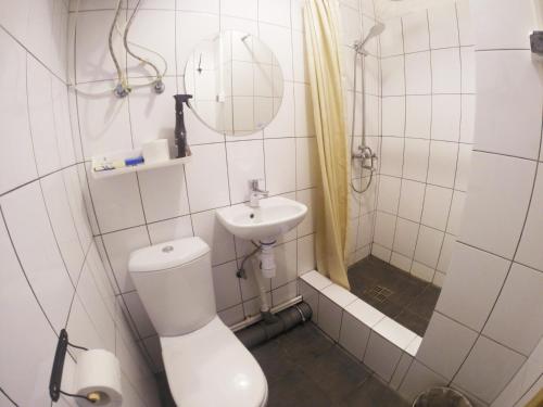 uma casa de banho com um WC, um lavatório e um espelho. em Neptunea Apartments em Vladivostok