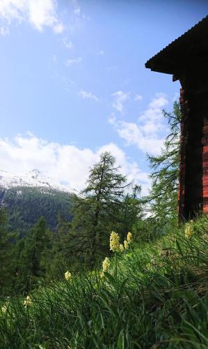 a house on a hill with mountains in the background at Hotel Nufenen in Ulrichen