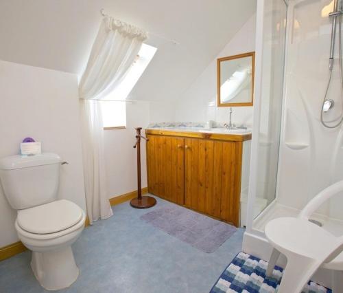 a bathroom with a toilet and a sink and a shower at lesChenes in Saint-Dolay