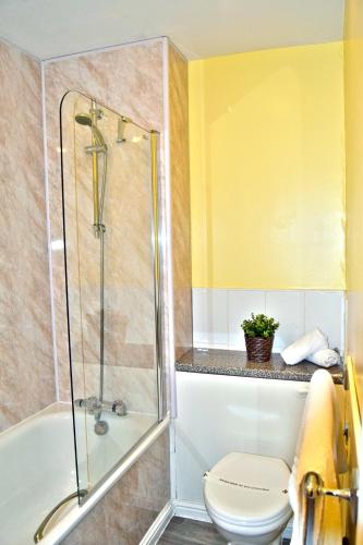a bathroom with a shower and a toilet and a tub at Bridge of Cally Hotel in Blairgowrie