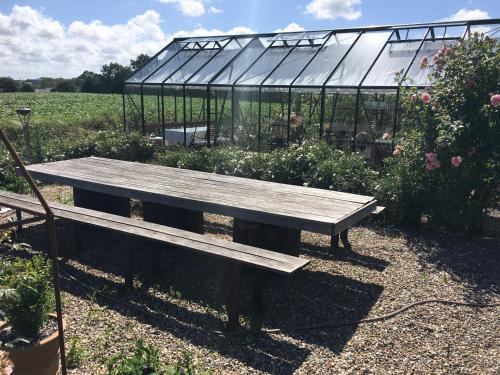 a wooden bench in a garden with a greenhouse at Rosengave in Alsted