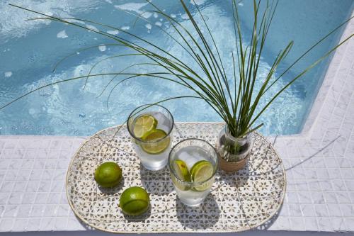 a table with two glasses and limes and a vase with a plant at Margo Houses in Vóthon