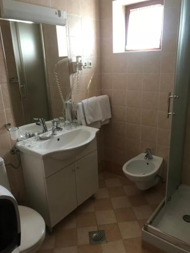 a bathroom with a sink and a toilet and a mirror at Pansion Danica in Rastovača