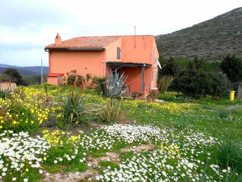 an orange house in a field of flowers at Agriturismo Glamping Erbe Matte in SantʼAntìoco