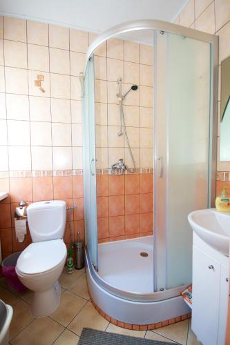 ein Badezimmer mit Dusche, Toilette und Waschbecken in der Unterkunft Aurada in Palanga