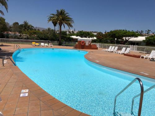 einen großen blauen Pool mit Stühlen und Palmen in der Unterkunft TC Bungalow Melocotones 15 in Maspalomas