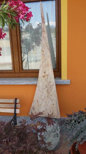 a cone leaning against a window next to a bench at La Casa Del Grillo 1 in Aosta