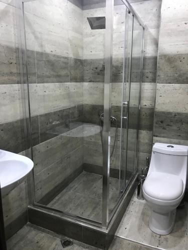 a bathroom with a shower with a toilet and a sink at Hobby Hotel in Yerevan