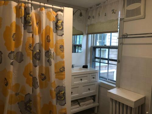 a bathroom with a shower curtain and a sink at William's Grant Inn Bed and Breakfast in Bristol