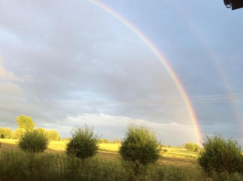a rainbow in the sky over a field at Haus 9 am Fluss in Witnica