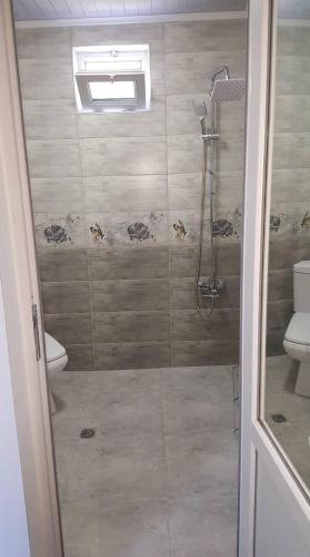 a bathroom with a shower and a toilet at Vacation Home Nukri in Gonio