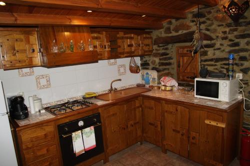 a kitchen with wooden cabinets and a sink and a microwave at Aldeia Oliveiras in Sobreira Formosa