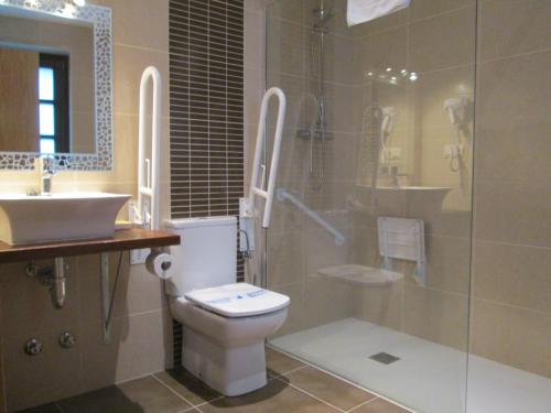 a bathroom with a toilet and a sink and a shower at Hostal Otsoa in Ezcároz