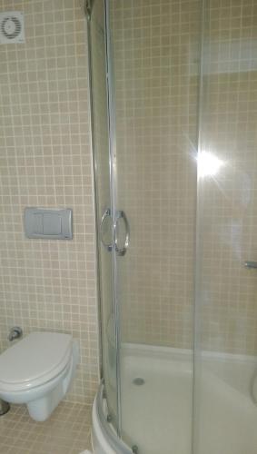 a bathroom with a toilet and a glass shower at ece "vegan"hotel Bodrum in Golturkbuku