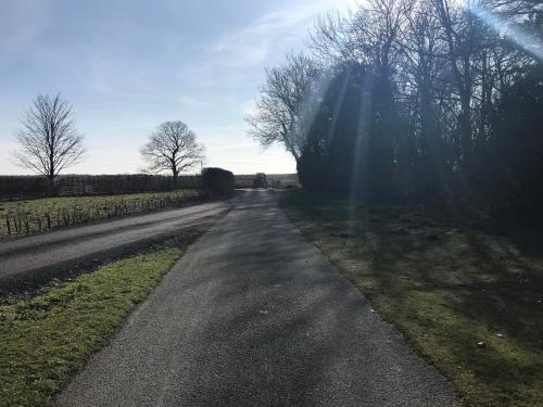 an empty road with the sun shining on it at Thrush Nest Cottages - Wren Cottage sleeps 4, 2 bedrooms & Stable Cottage sleeps 2, 1 bedroom in York