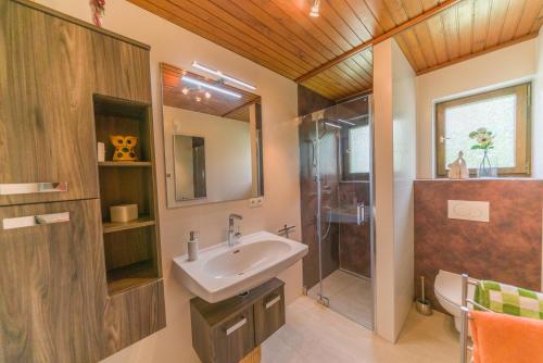 a bathroom with a sink and a shower at Das Weinberghaus in Ratsch an der Weinstraße