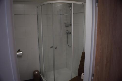 um chuveiro com uma porta de vidro na casa de banho em Apartmány Lípa em Tábor