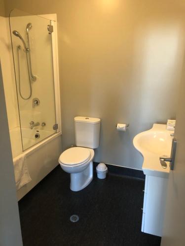 a bathroom with a toilet and a sink and a shower at Teschemakers Resort in Oamaru