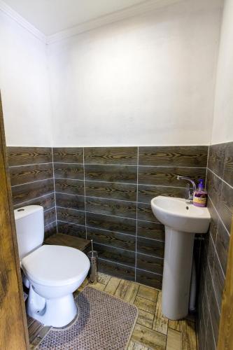 a bathroom with a toilet and a sink at Guest House Plai in Yaremche