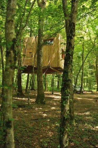 une cabane dans les arbres au milieu des bois dans l'établissement Cabanes Espace Fouletot, à Mont-sous-Vaudrey