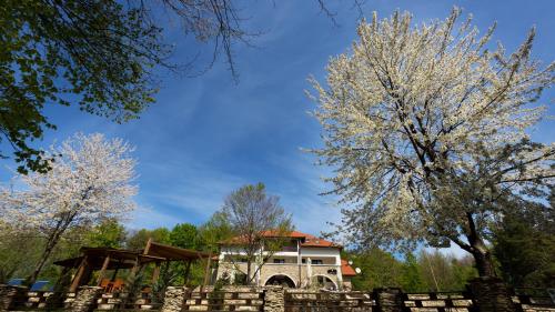 a house behind a fence with trees in the background at Cetatuia in Măgura