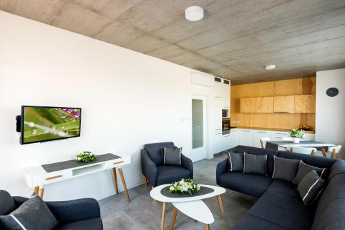 TV a/nebo společenská místnost v ubytování Residence Trafick