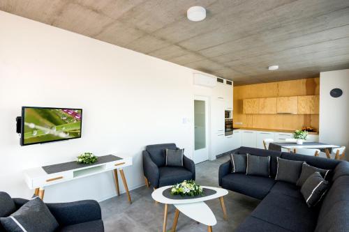 a living room with a couch and chairs and a tv at Residence Trafick in Prague